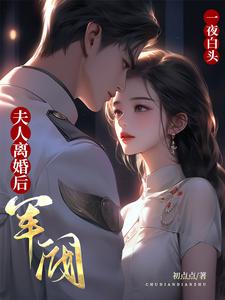 夫人离婚后,军阀大佬一夜白头